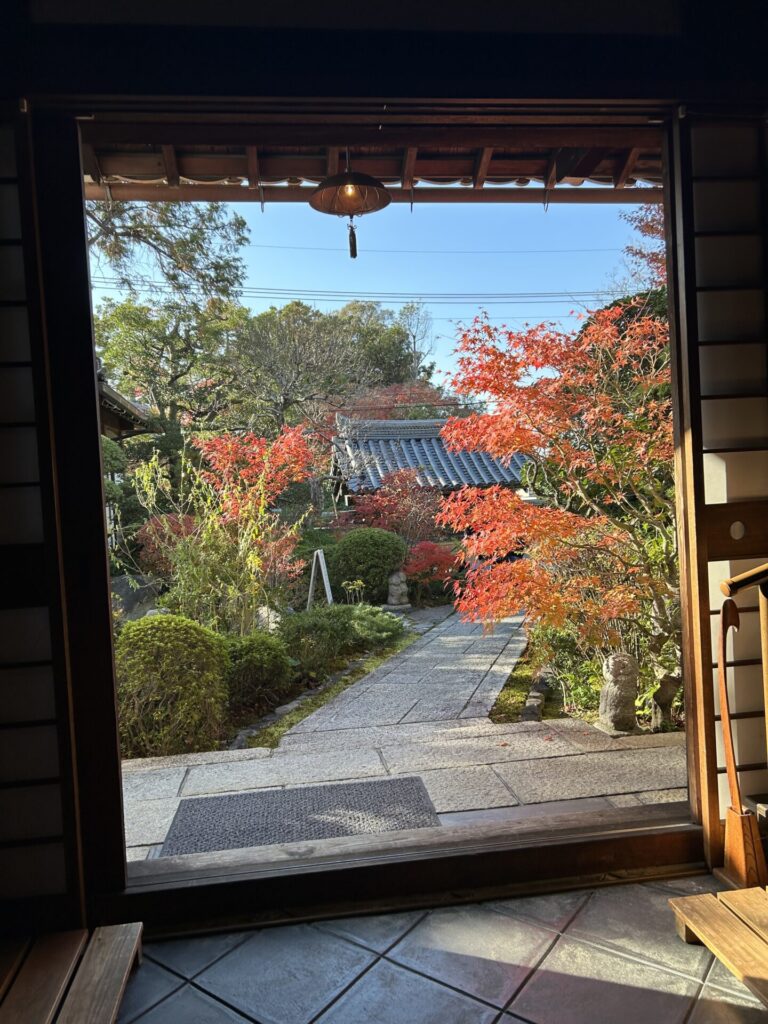 額縁に入った写真のような眺めです