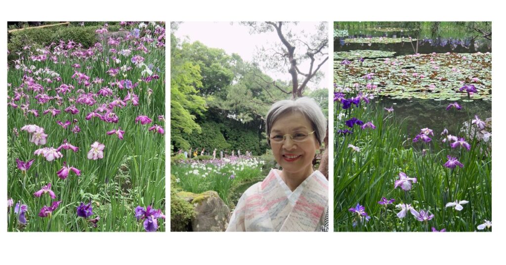 神苑の菖蒲や睡蓮